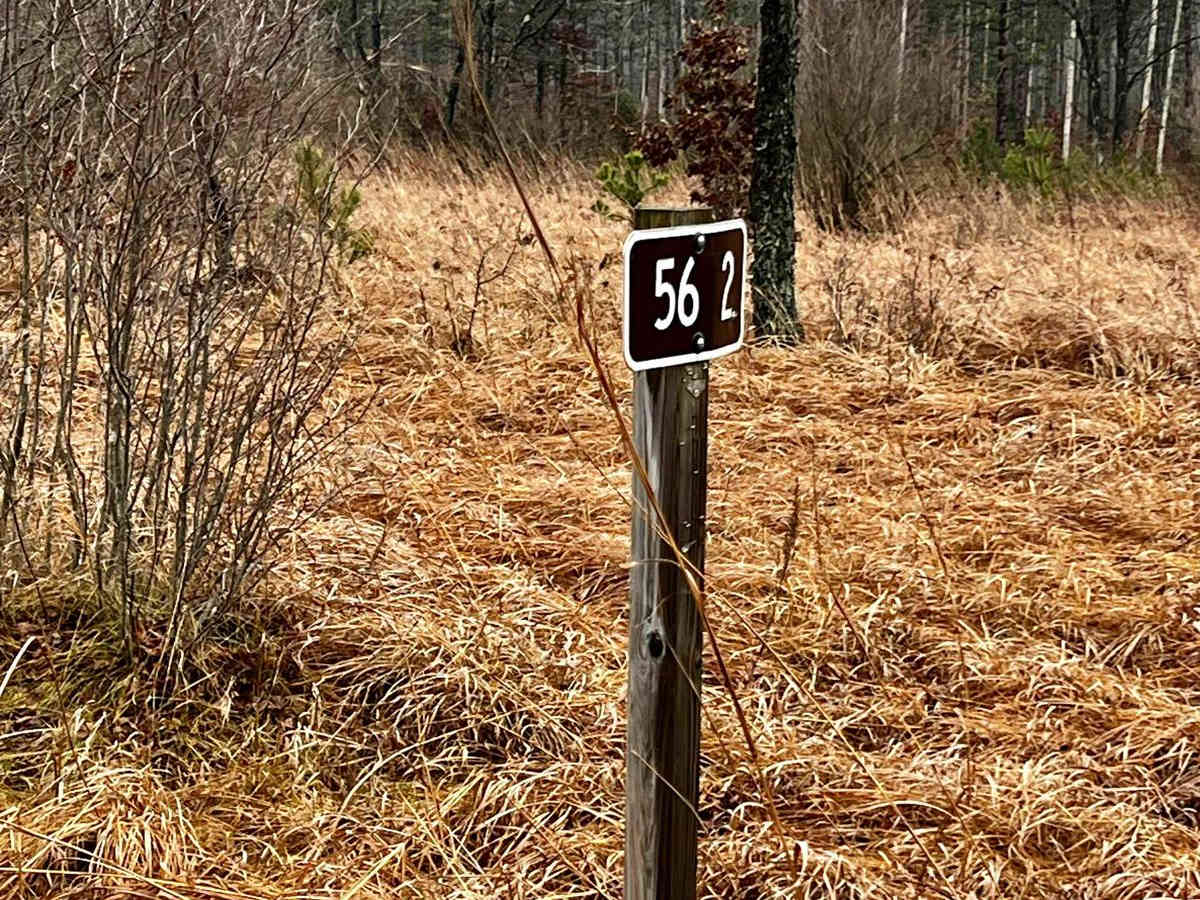 Minnie Lake Trail (NFS 9580) photo 2