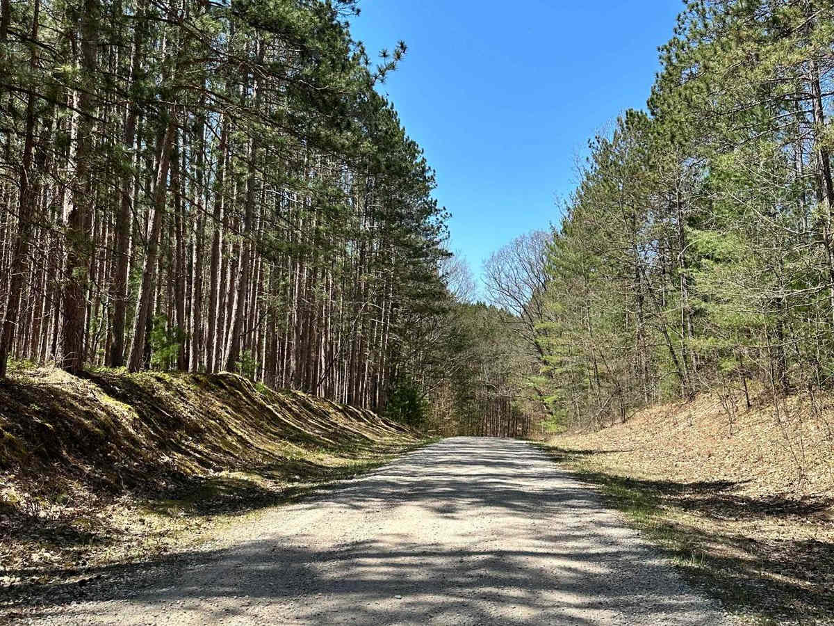 Cadillac Area ORV/OHV Scenic Ride - Part 17 trail photo
