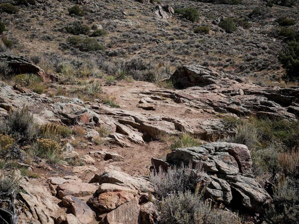 Goat Pasture trail photo