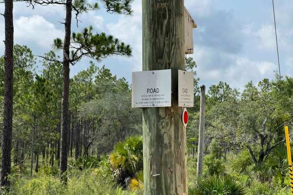 Citrus Wildlife Management | Trail 20