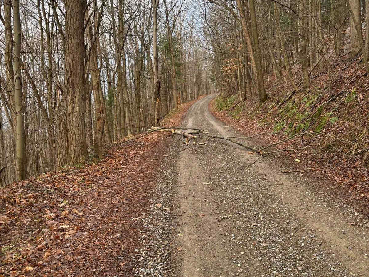 Hopkins Road photo 2