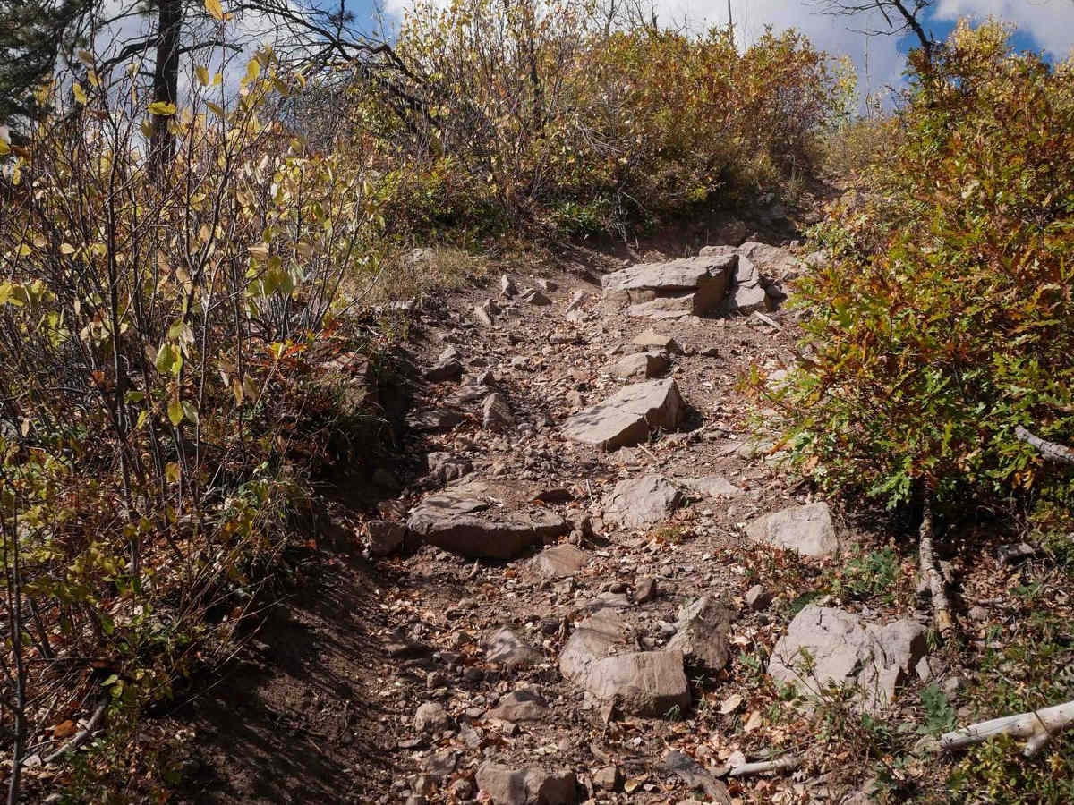 Pinkerton--Flagstaff photo 3