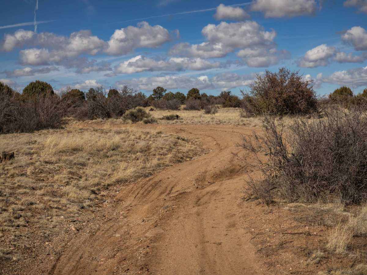 Javelina Flow photo 6
