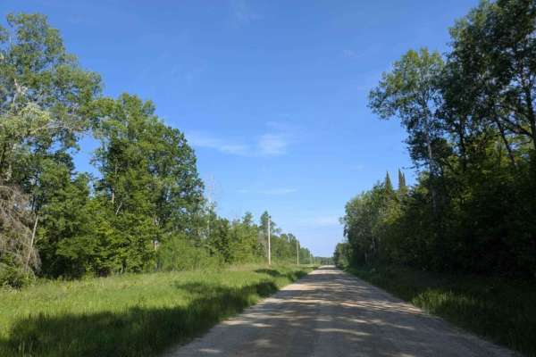 County Road 55