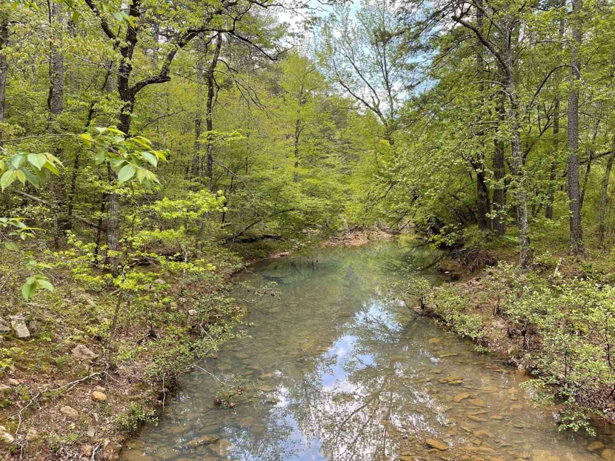 Scenic Richmond Road trail photo