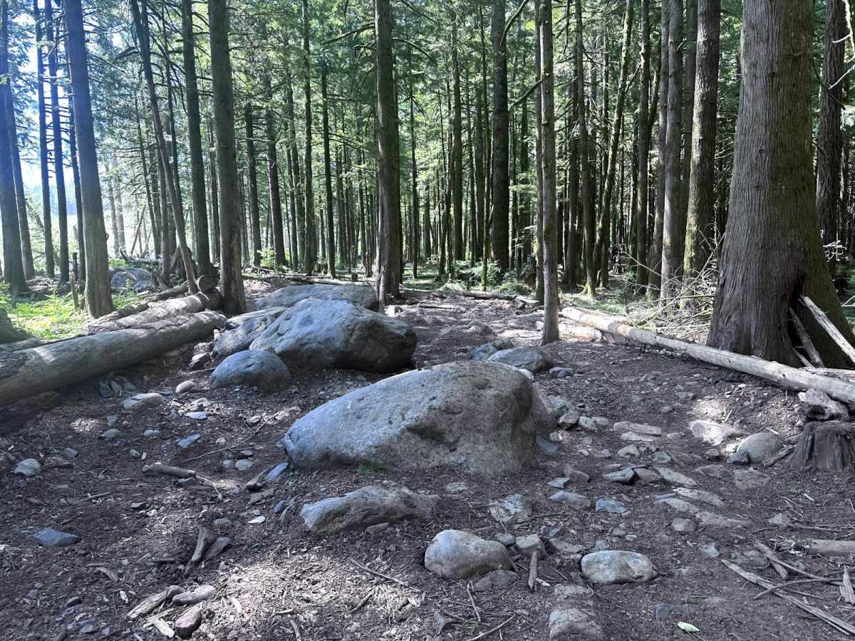 Boulder Alley photo 3