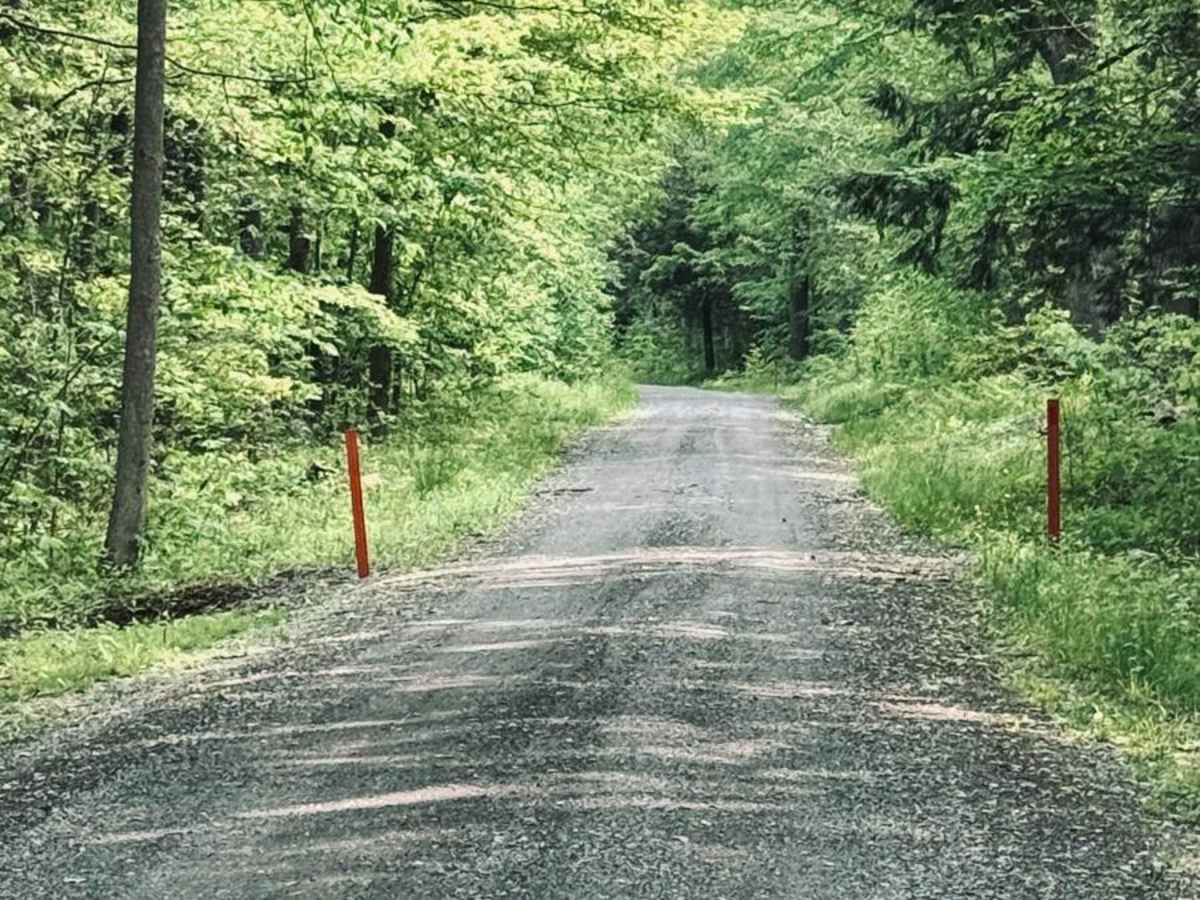 Babcock Circle Road photo 5
