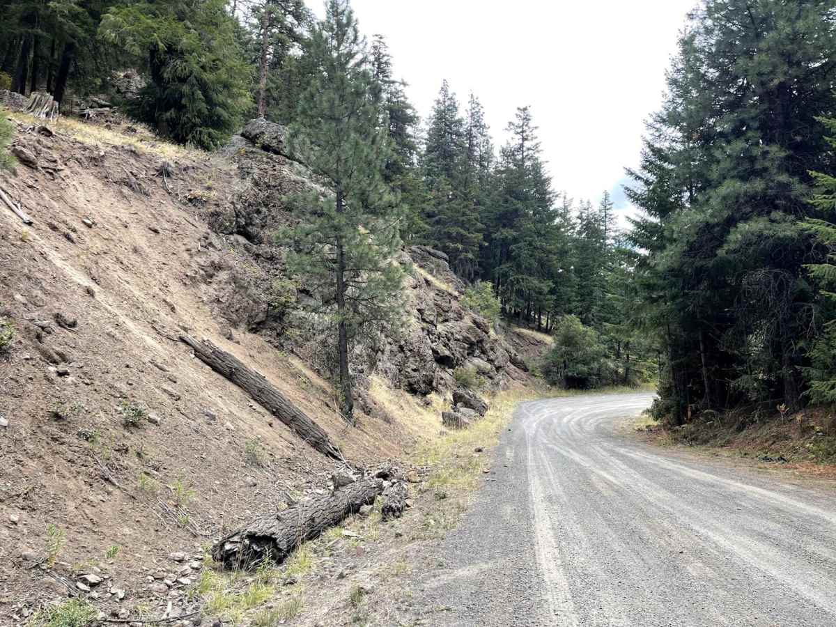 Gold Creek Trail photo 3