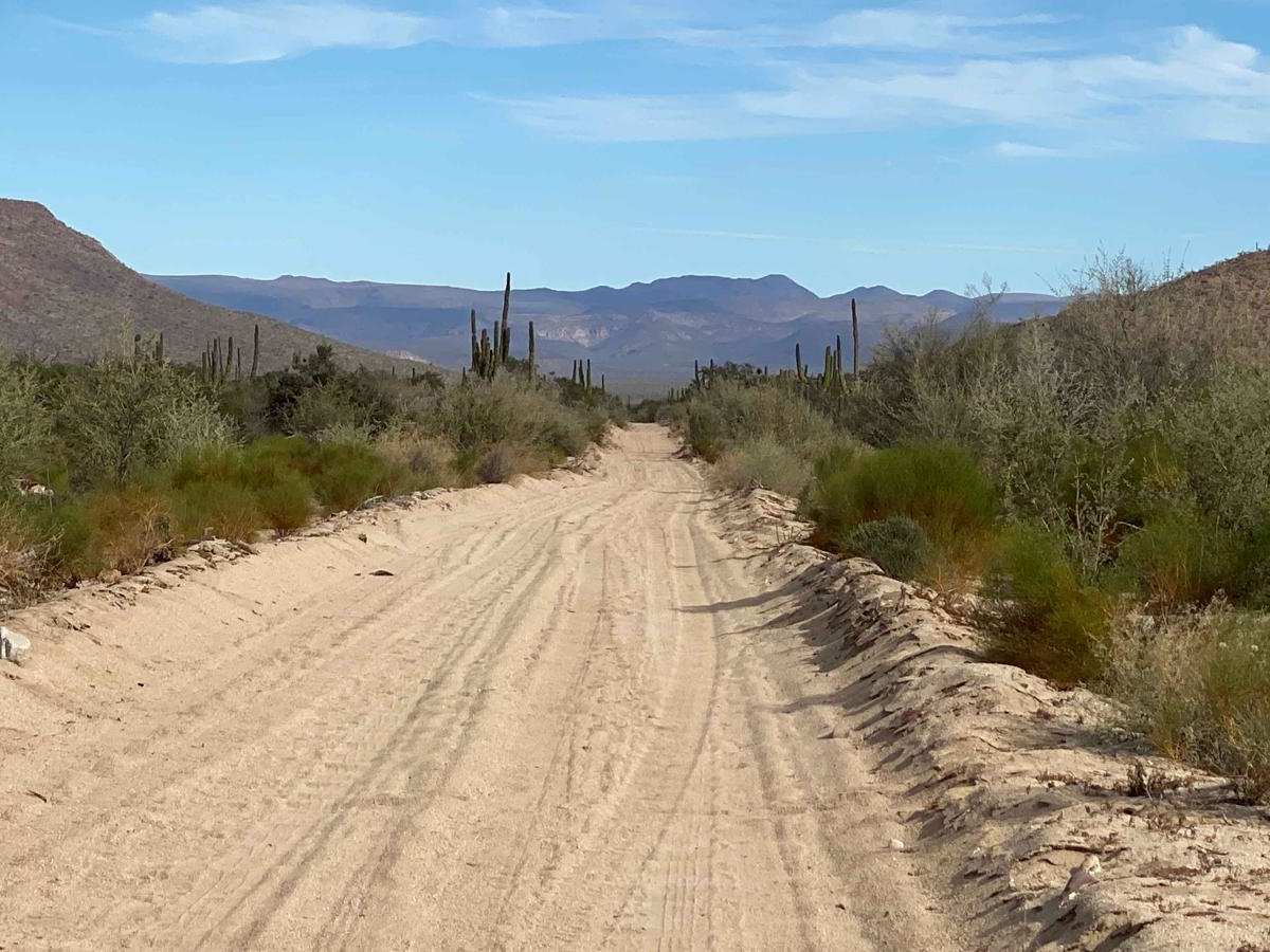 Santa Gertrudis photo 4
