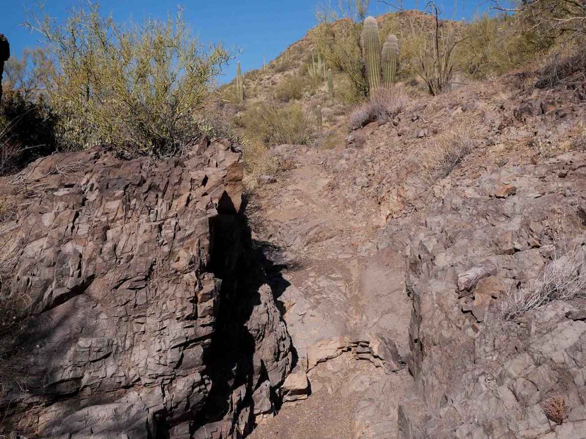 32020 trail photo