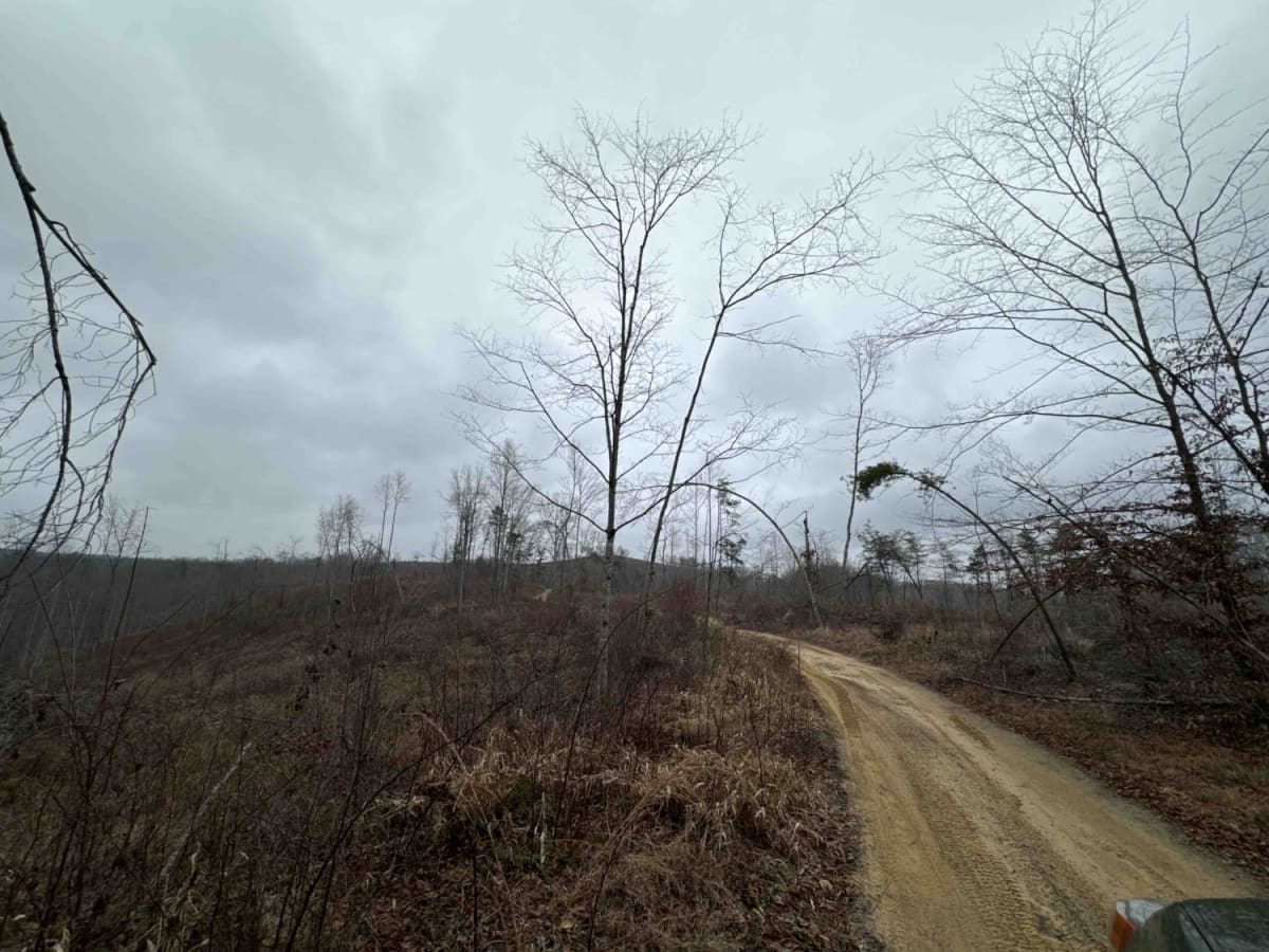Wildcat Road trail photo