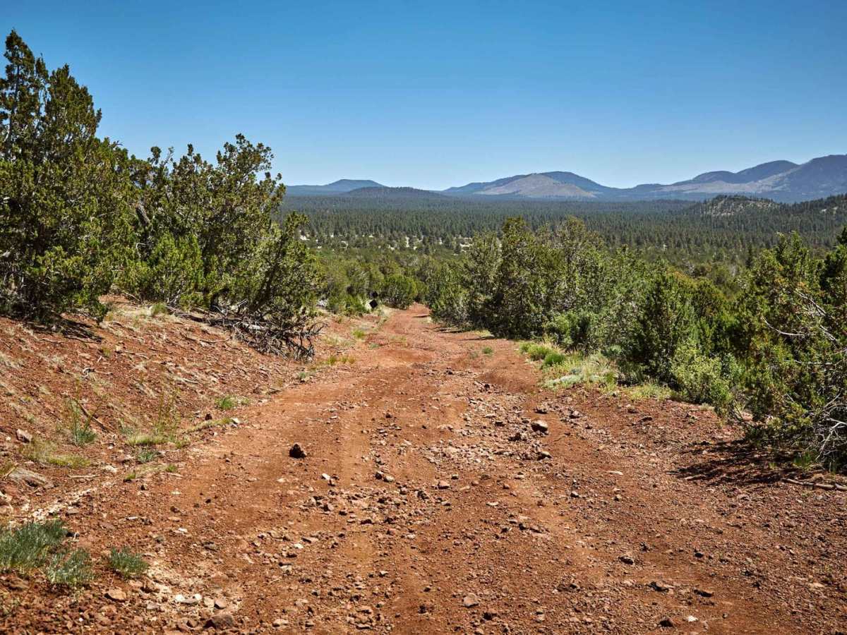 Red Hill Road photo 5