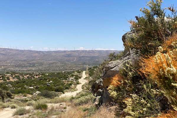 Cerro Prieto Loop