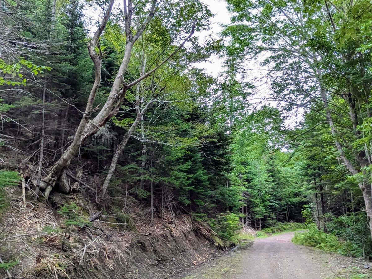 Connors Mountain Road photo 2