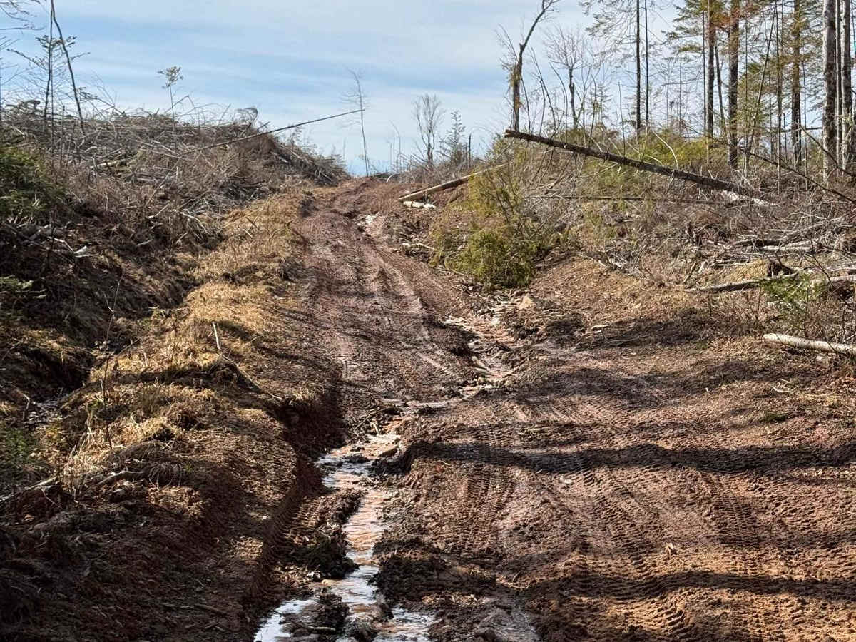 Mill Road trail photo