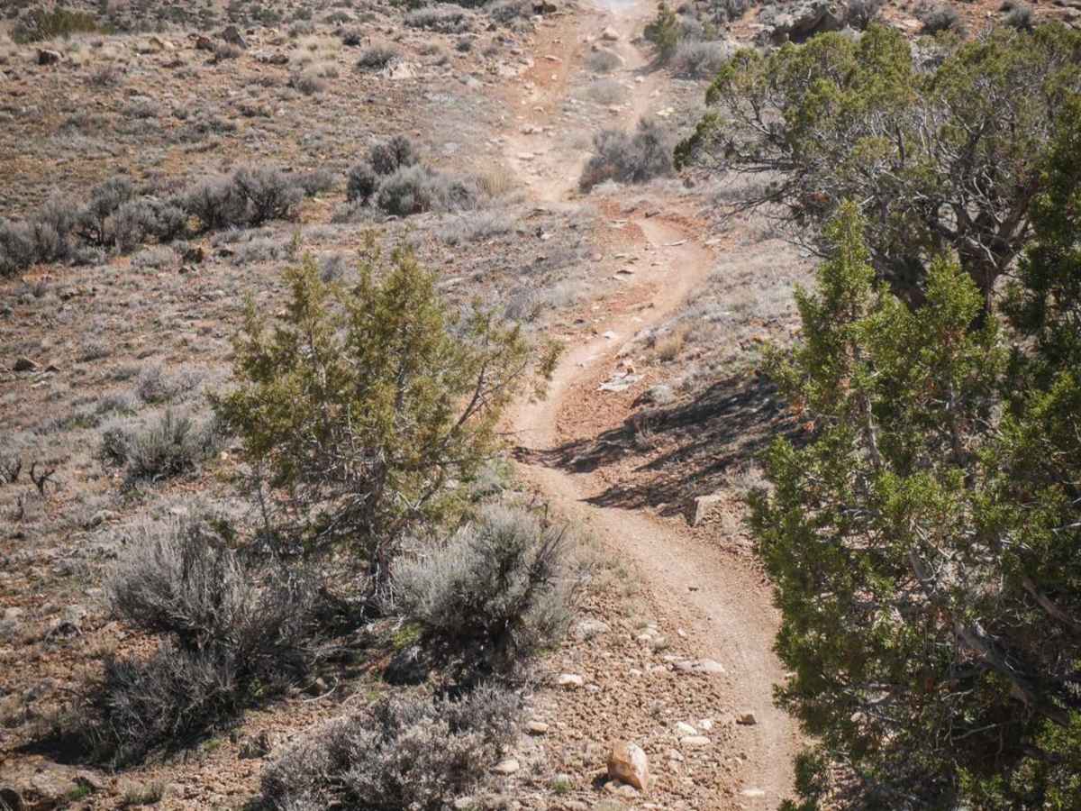 Piney Creek photo 3