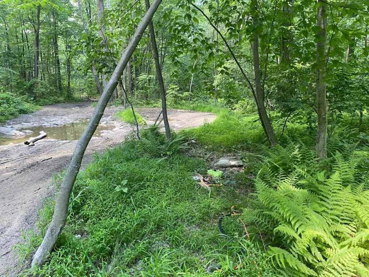 26 trail photo