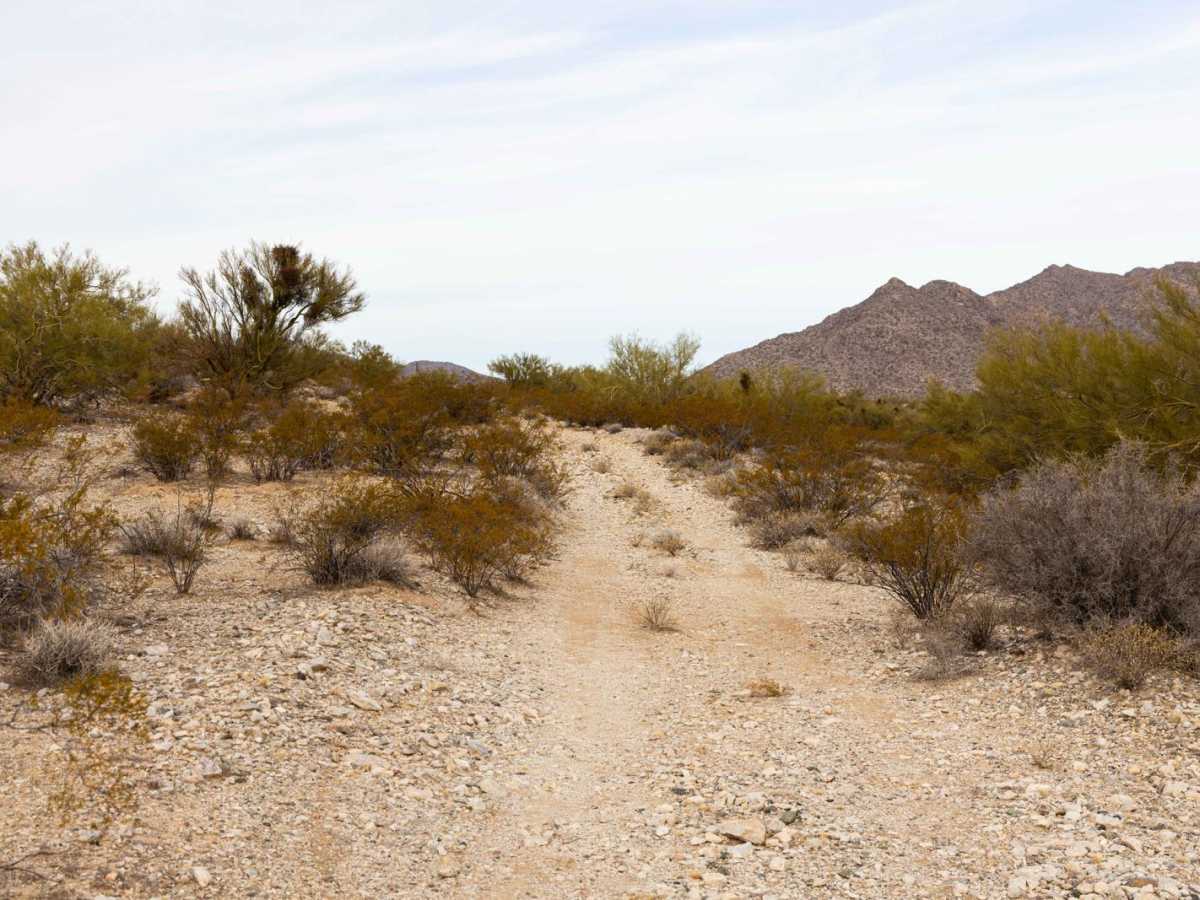 Neck Pain trail photo