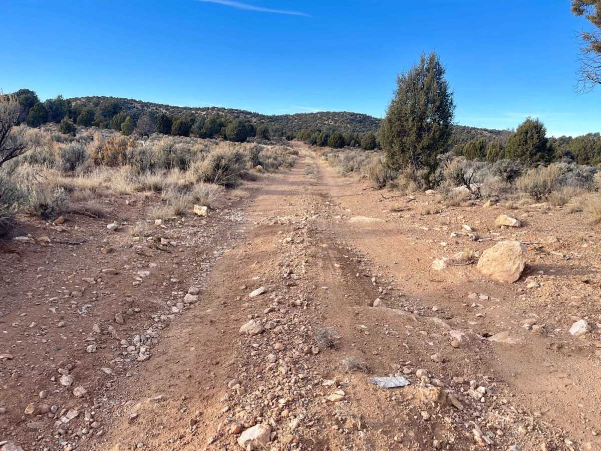 Shoebuckle Road 1059 photo 6