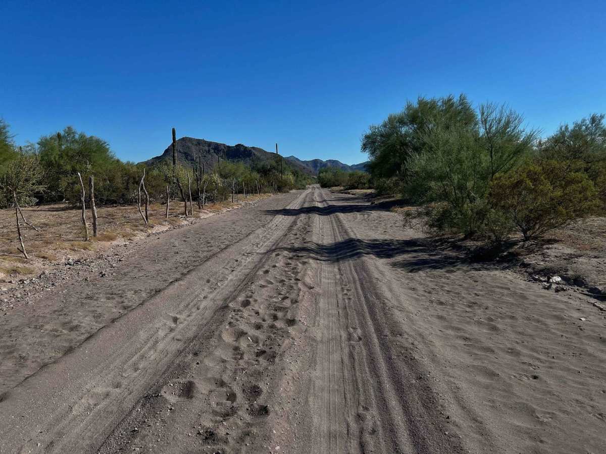 To Mulege Back Farms photo 6