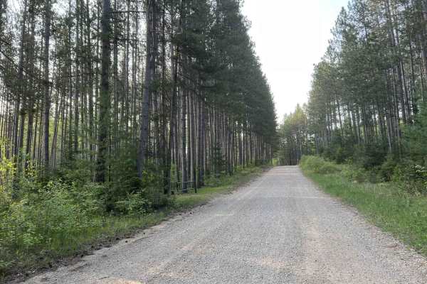 Browns Lake Road