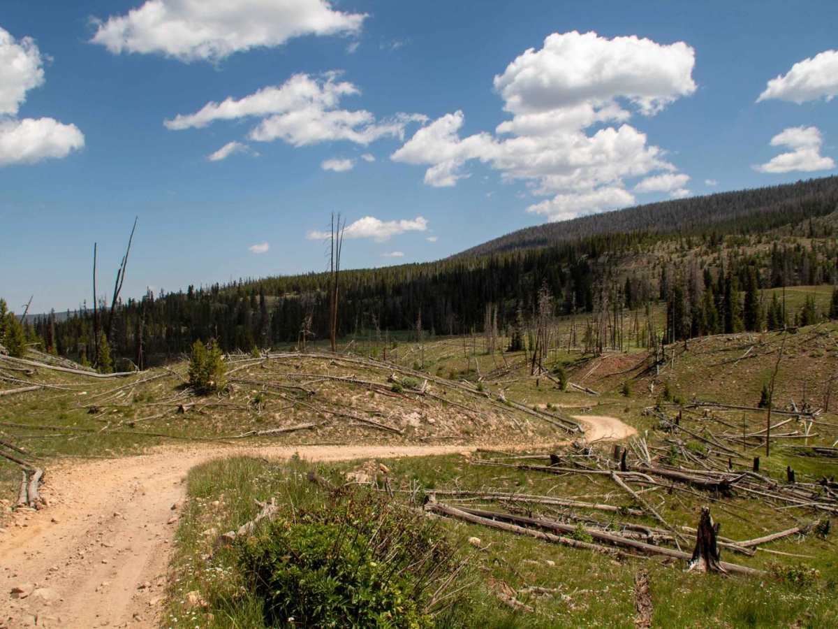 Mill Creek photo 5