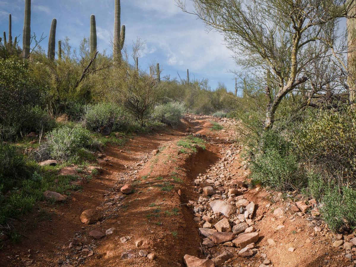 Shoemaker Connector photo 2
