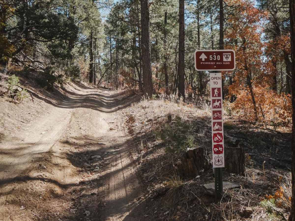 530 Road trail photo