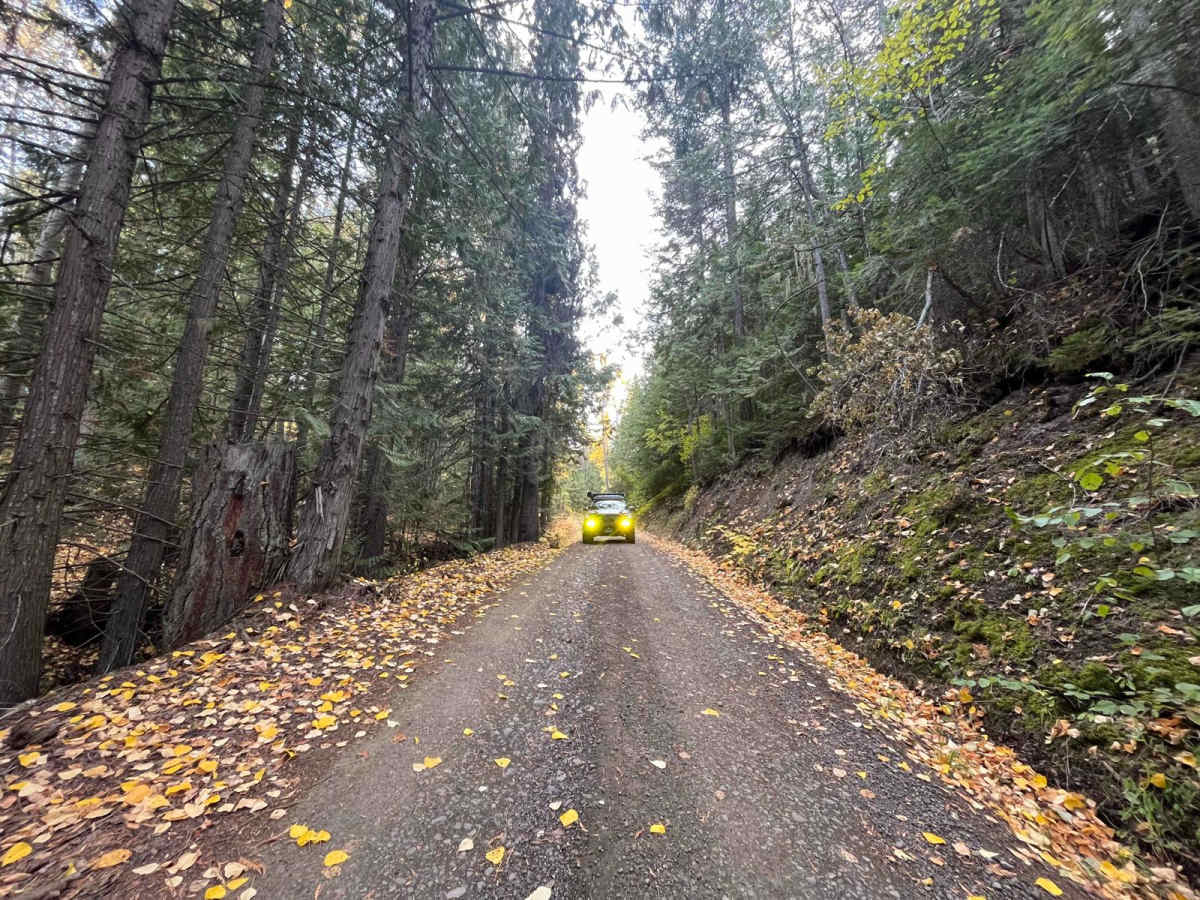 Cedar Hill Road to Pinaus trail photo