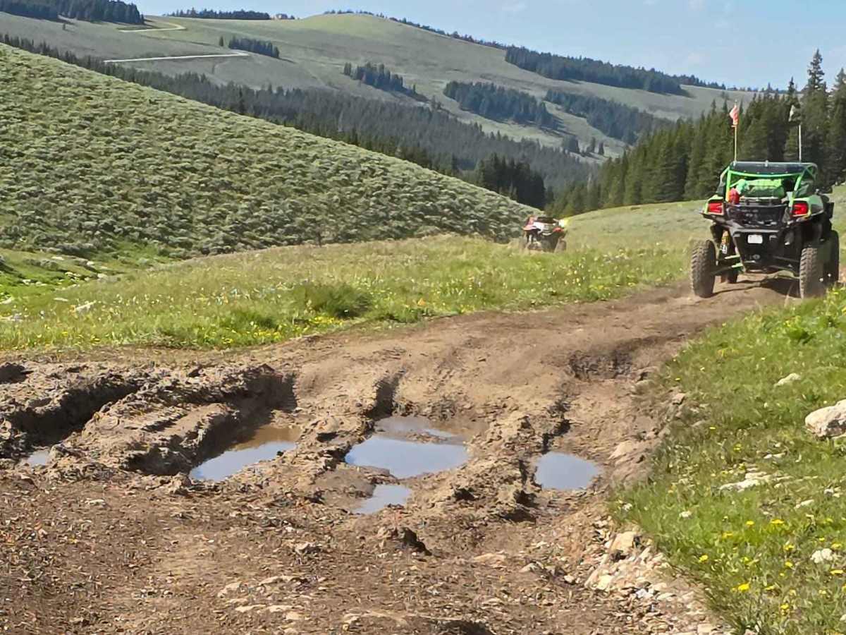 Fools Creek (FSR 178) - Ice Creek (FSR 142) photo 3