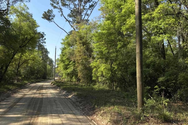 Bostic Pelt-Lawhorn Mill - Apalachicola FR 356