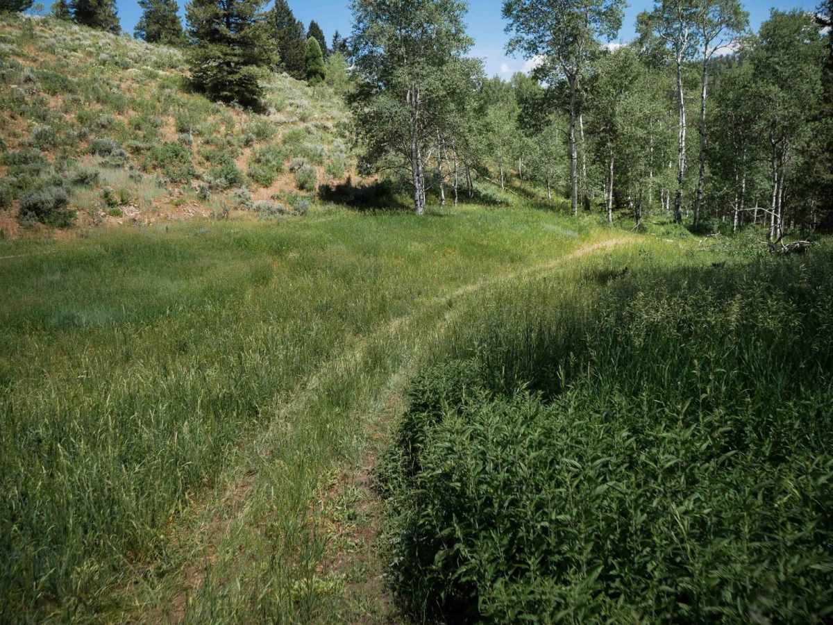 Cold Springs ATV Loop #5208  photo 6