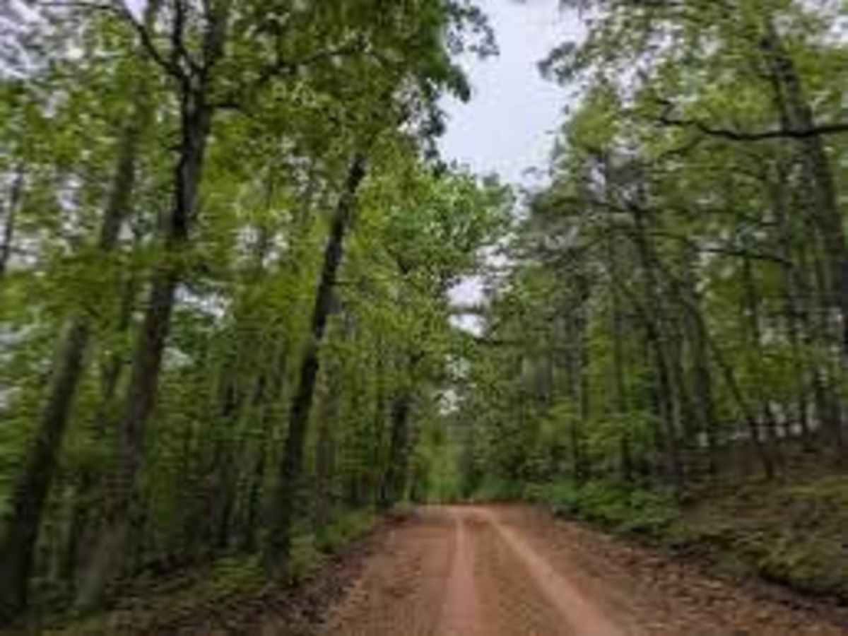 Long Caney bypass trail photo