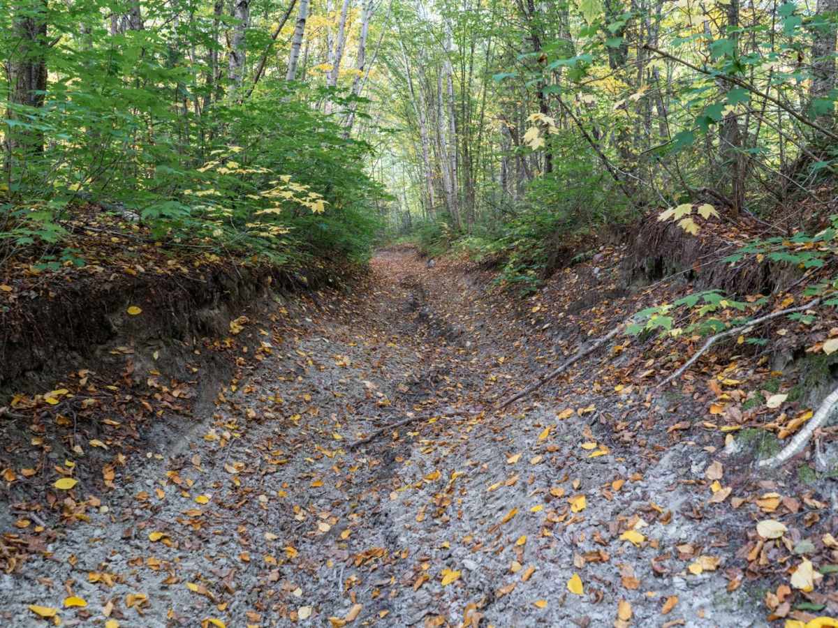 Washout Way photo 6