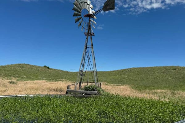 Sandhills Mills (NFR 261)