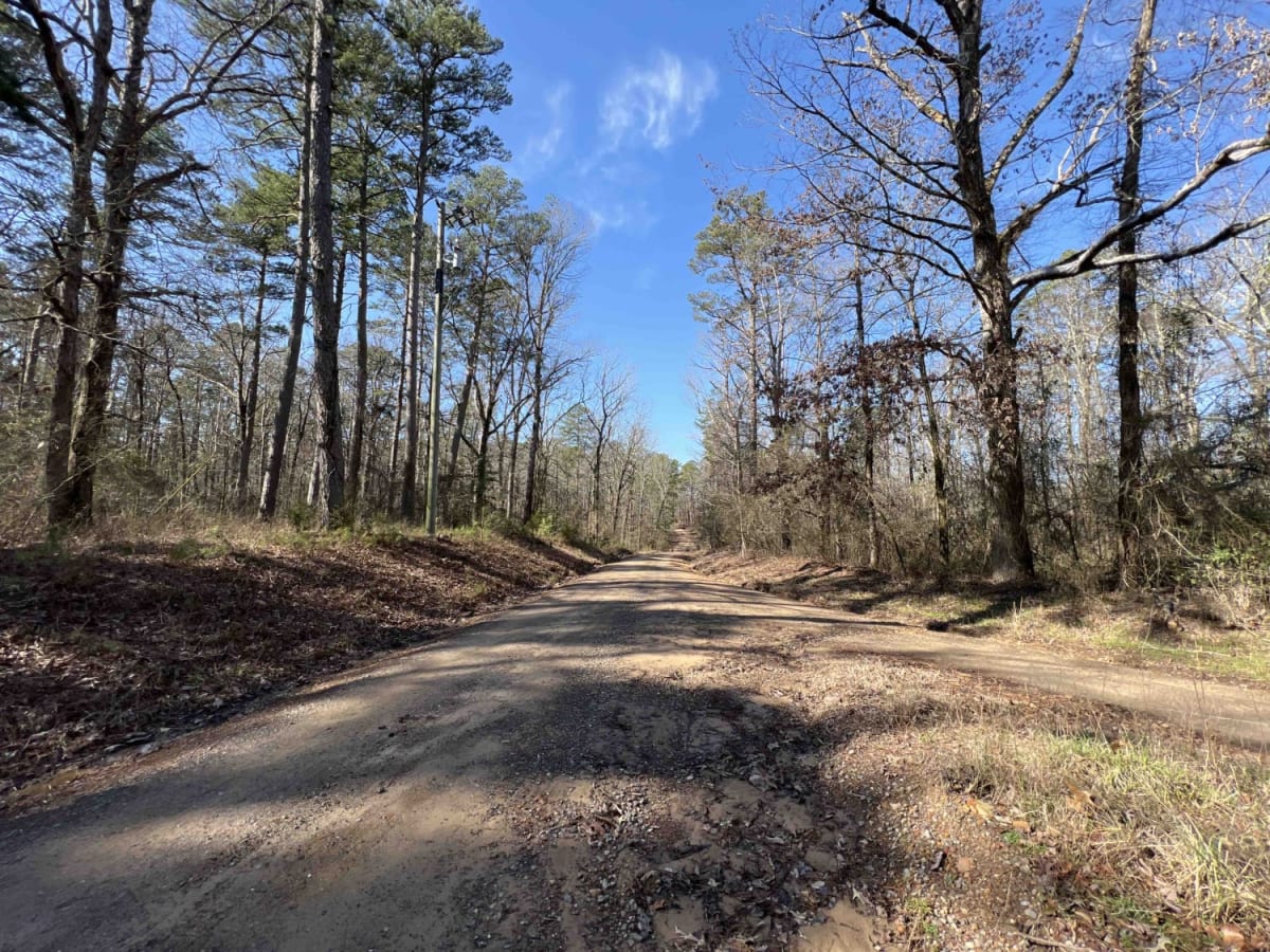 North Fork Road 86 photo 4
