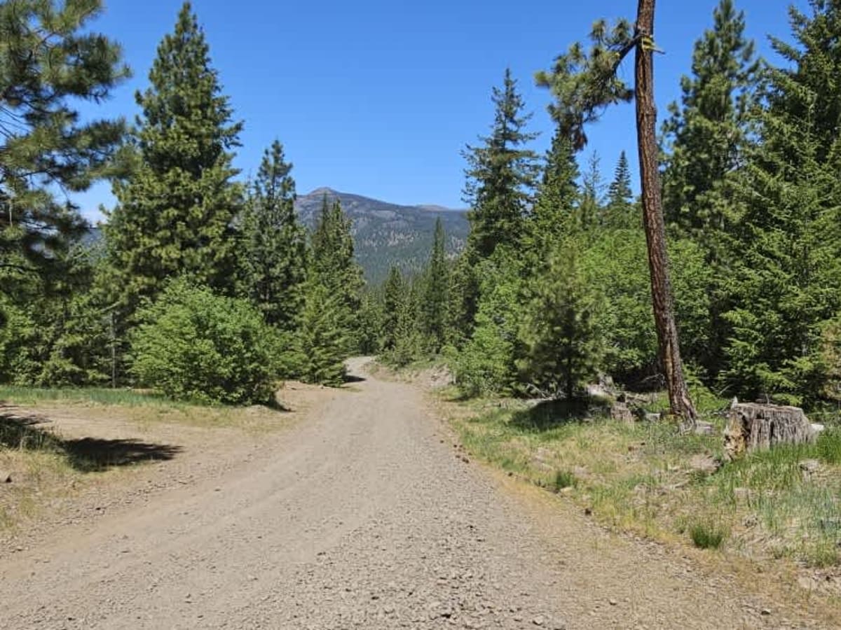 Boulder Road photo 4
