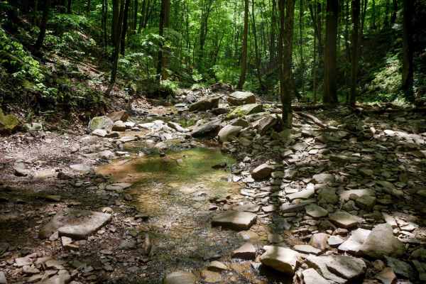 Trail 7