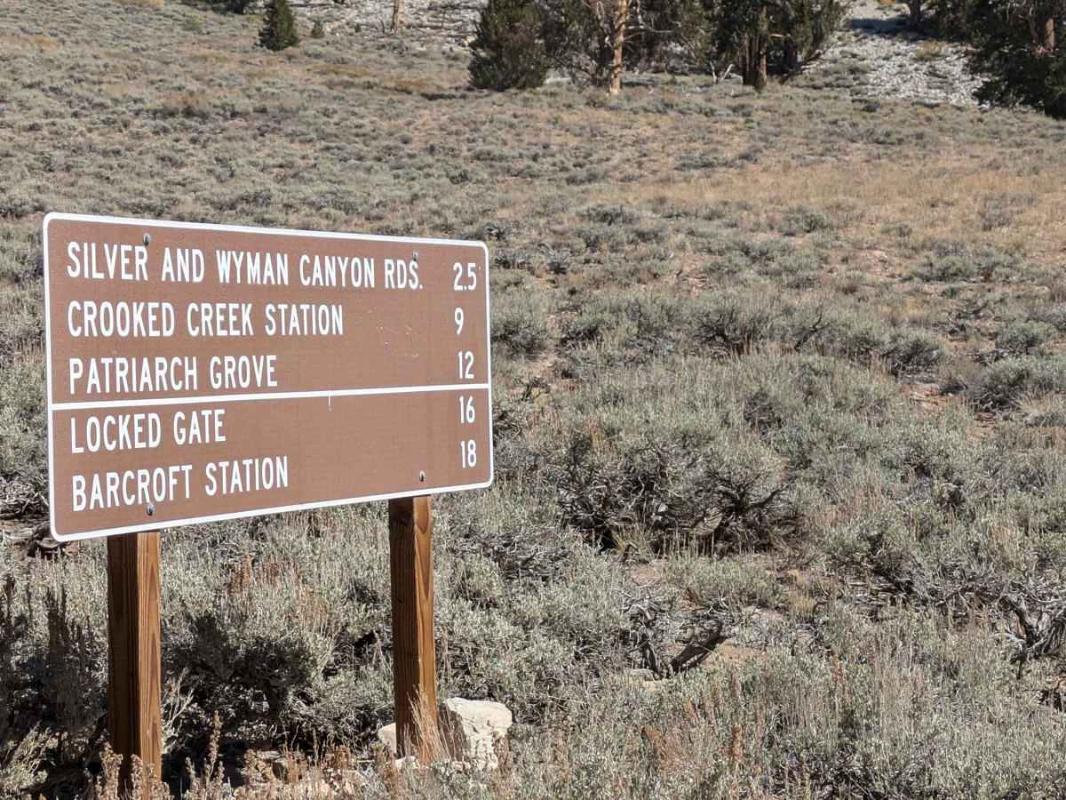 White Mountain Road photo 5