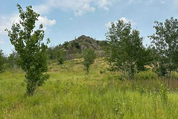 Turkey Ridge - 719