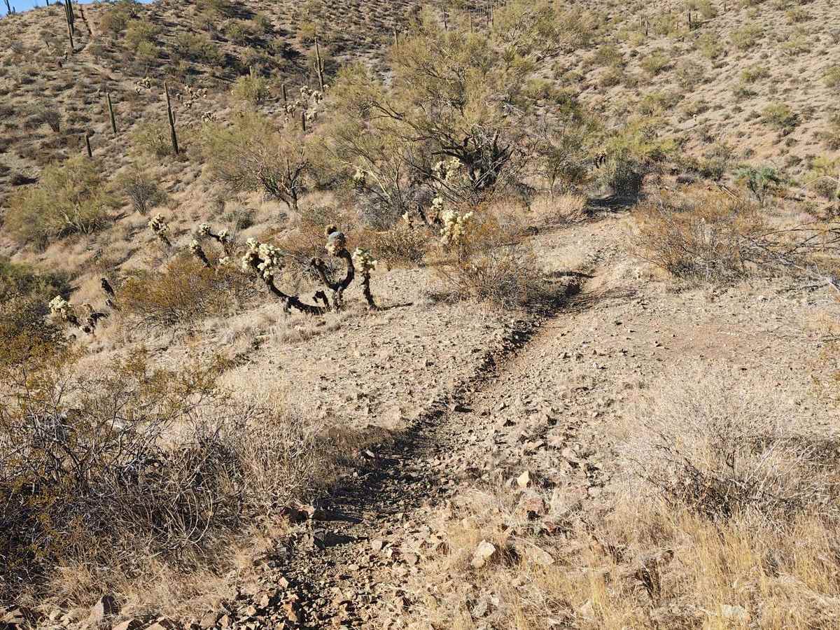 Sim's Warm Up - Single Track photo 5