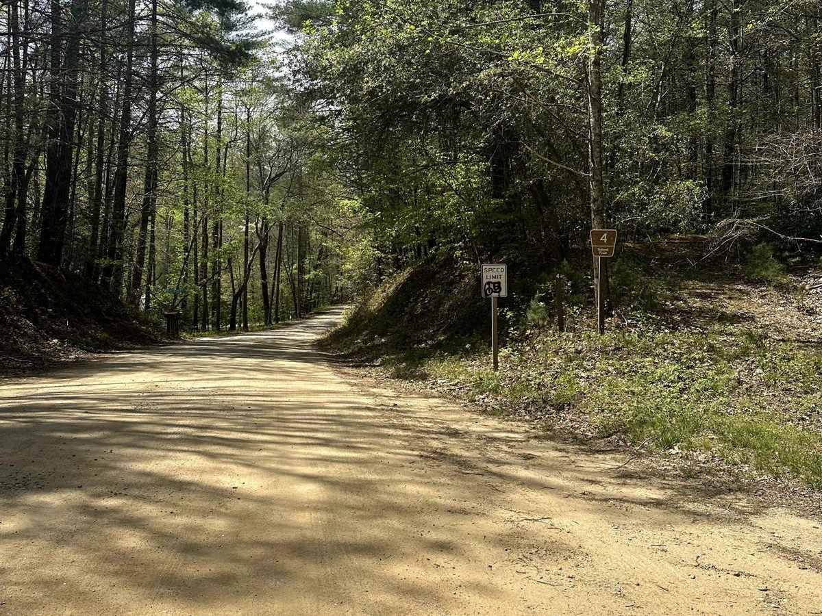 Mulky Gap - FS 4 trail photo