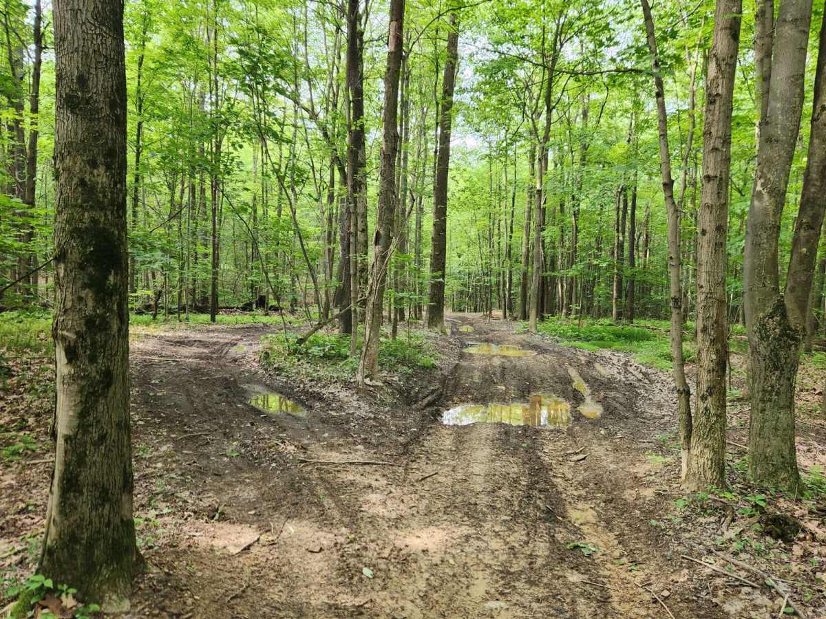 Trail 1 - Rock Run Recreation Area photo 4