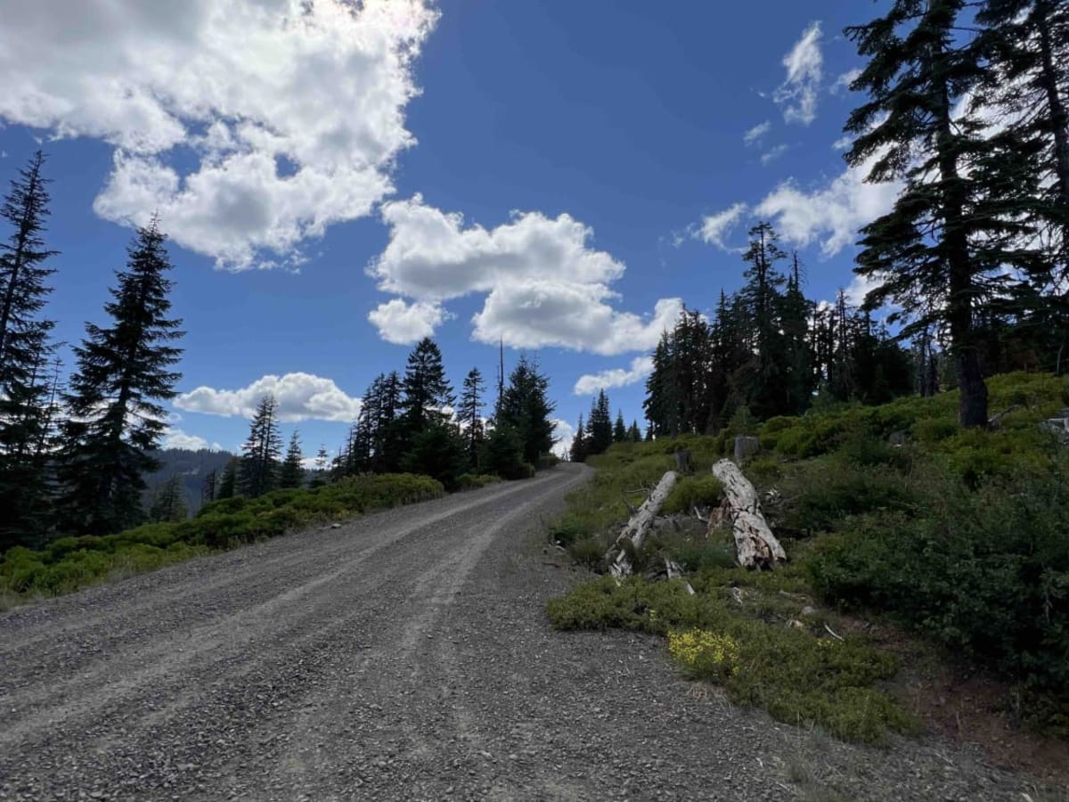 Timpanogas 2154 photo 2