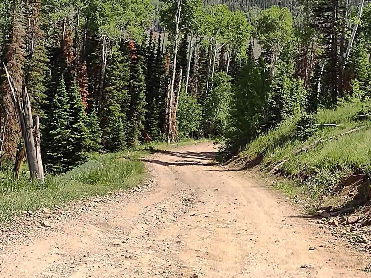 Dry Creek Road - FS 40183) photo 4