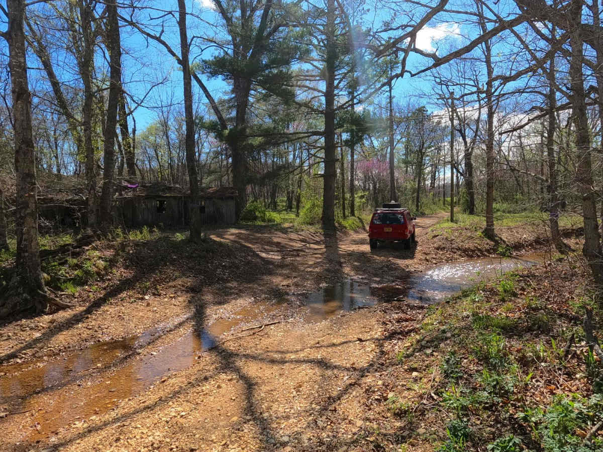 Grisham Road trail photo