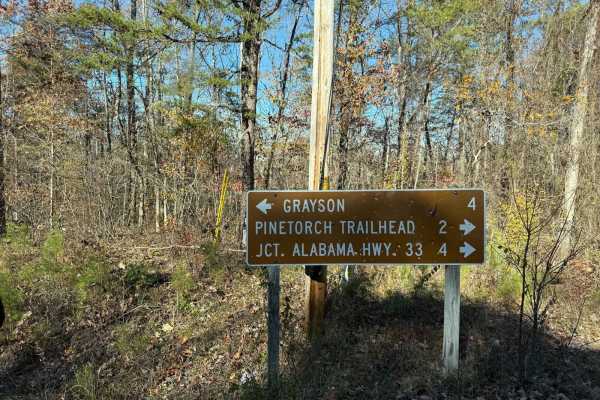 Mount Olive Road - FS 245