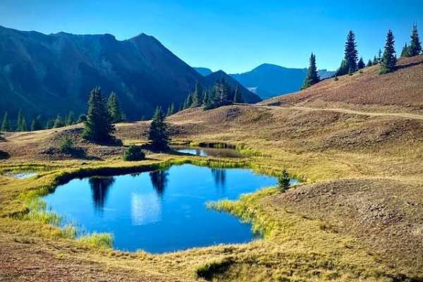 Gray Copper Gulch