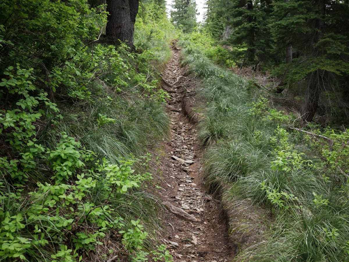 Flume Creek ATV trail photo