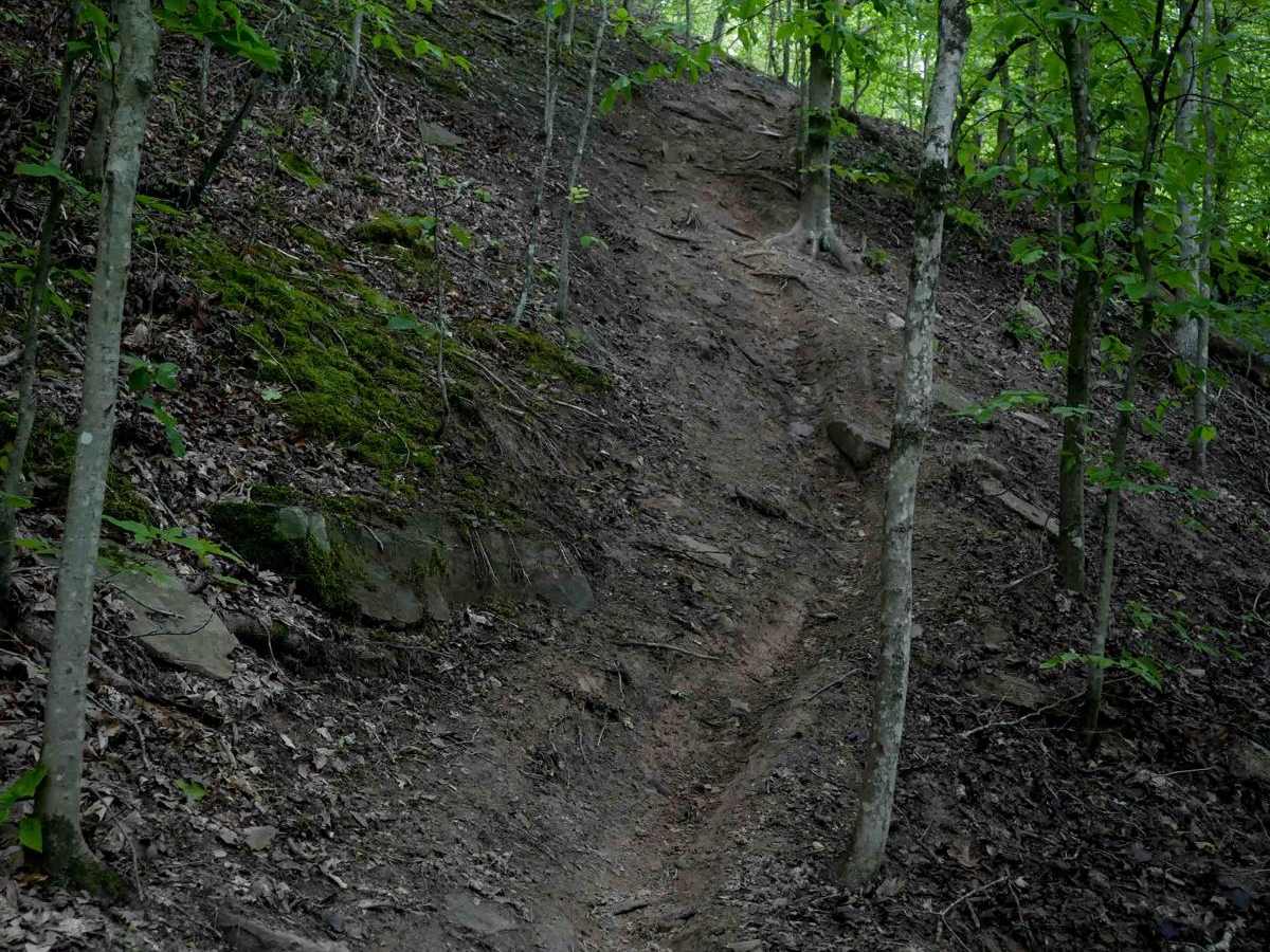 T60 trail photo